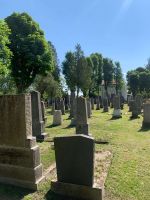Juedischer_Friedhof_St-Poelten_instandgesetzt 11.jpeg
