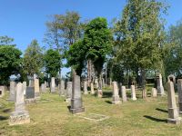 Juedischer_Friedhof_St-Poelten_instandgesetzt 5.jpeg