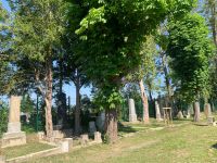 Juedischer_Friedhof_St-Poelten_instandgesetzt 6.jpeg