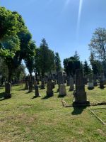 Juedischer_Friedhof_St-Poelten_instandgesetzt 12.jpeg