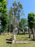 Juedischer_Friedhof_St-Poelten_instandgesetzt 7.jpeg