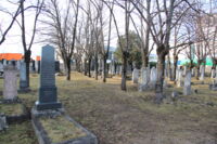 Wiener_Neustadt_IsrFriedhof_4216.JPG